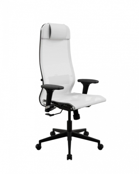 Кресло SynchroSit 10 Кресло ErgoLife Set 4/подл.200/осн.Synchro 002