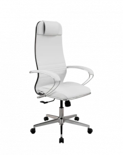 Кресло SynchroSit 10 Кресло ErgoLife Set 6/подл.116/осн.Synchro 004