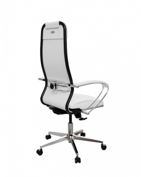 Кресло SynchroSit 10 Кресло ErgoLife Set 6/подл.116/осн.Synchro 004