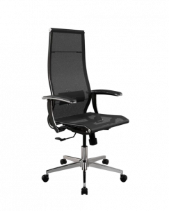 Кресло SynchroSit 10 Кресло ErgoLife Set 7/подл.158/осн.Synchro 004