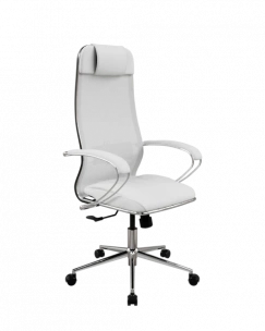 Кресло SynchroSit 10 Кресло ErgoLife Set 5/подл.131/осн.Synchro 052