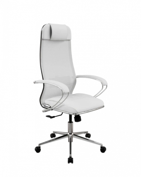 Кресло SynchroSit 10 Кресло ErgoLife Set 5/подл.131/осн.Synchro 052