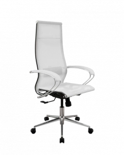 Кресло SynchroSit 10 Кресло ErgoLife Set 7/подл.131/осн.Synchro 052