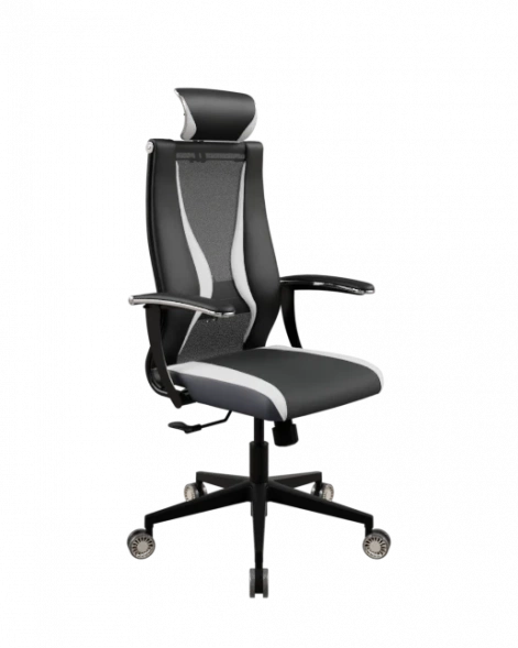 Кресло SynchroSit 10 B2-170U - T+UMF(SY271)+Extra